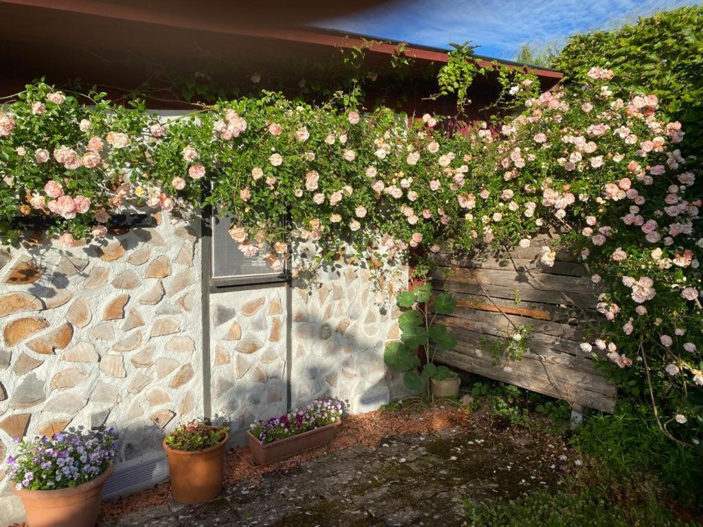 La Maison Du Potager Saint-Racho Exterior photo